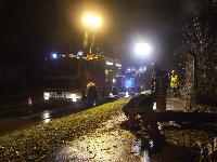 H0 - Baum auf Fahrbahn