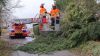 H1 - Ast/Baum droht zu fallen Verkehrsweg