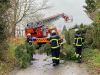 H1 - Ast/Baum droht zu fallen Verkehrsweg