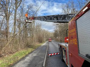 H1 - Ast/Baum droht zu fallen Verkehrsweg