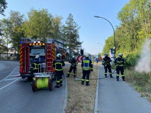 B2 - Feuer/Rauch Wald