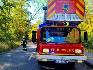 H0 - Baum auf Fahrbahn