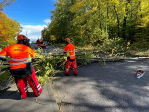 H0 - Baum auf Fahrbahn