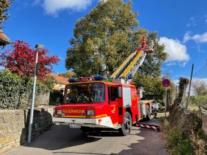 H1 - Ast/Baum droht zu fallen Verkehrsweg