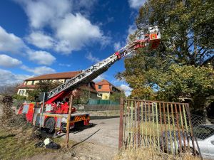 H1 - Ast/Baum droht zu fallen Verkehrsweg