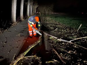 H1 - Ast/Baum gefallen Verkehrsweg