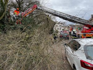 H1 - Ast/Baum gefallen Verkehrsweg