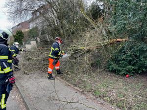 H1 - Ast/Baum gefallen Verkehrsweg