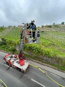 B3 - Feuer/Rauch MFH