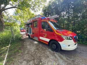 H0 - Ast/Baum gefallen Verkehrsweg