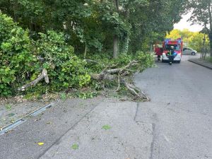 H0 - Ast/Baum gefallen Verkehrsweg