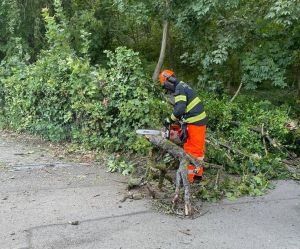 H0 - Ast/Baum gefallen Verkehrsweg