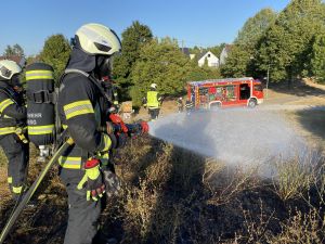 B2 - Feuer/Rauch Wiese/Ödland (WBS 4 / >100qm)