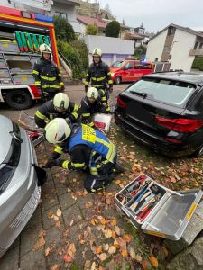 H1 - Rettung Tier eingeklemmt
