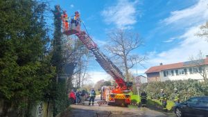 H0 - Ast/Baum gefallen Verkehrsweg