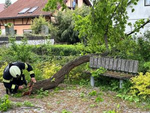 H0 - Ast/Baum gefallen Verkehrsweg