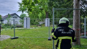 H0 - Ast/Baum gefallen Verkehrsweg