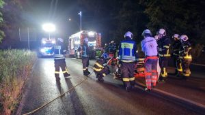 H1 - Person in Zwangslage Wald
