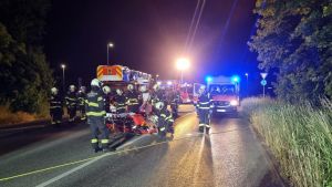 H1 - Person in Zwangslage Wald