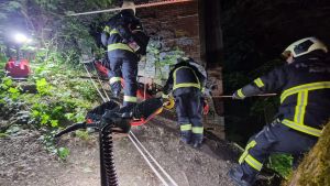 H1 - Person in Zwangslage Wald