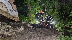 H1 - Person in Zwangslage Wald