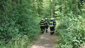 H1 - Personensuche