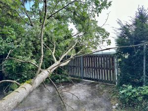 H0 - Ast/Baum gefallen Verkehrsweg