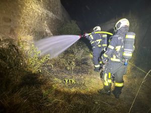 B3 - Feuer/Rauch Wiese/Ödland
