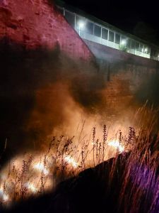 B3 - Feuer/Rauch Wiese/Ödland