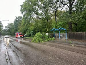 H0 - Ast/Baum gefallen Verkehrsweg