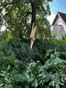 H0 - Ast/Baum gefallen Verkehrsweg