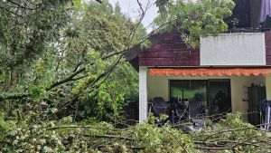 H0 - Ast/Baum gefallen Gebäude