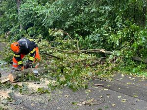 H0 - Ast/Baum gefallen Verkehrsweg