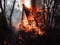 B2 - Gartenhausbrand