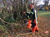 B2 - Gartenhausbrand