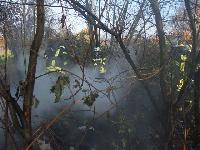 B2 - Gartenhausbrand