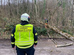 H0 - Ast/Baum gefallen Verkehrsweg