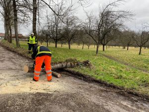 H0 - Ast/Baum gefallen Verkehrsweg