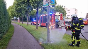 B1 - Sonstiges