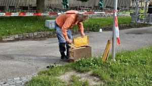 H0 - Bienen/Hornissen/Hummeln > 3m