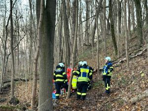 H1 - Person in Zwangslage Wald