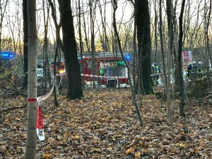 H1 - Person in Zwangslage Wald