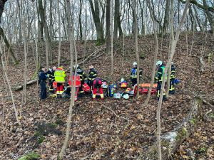 H1 - Person in Zwangslage Wald