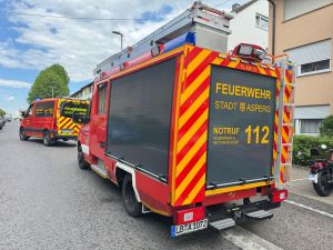 H1 - Rettung Tier eingeschl. Gebäude
