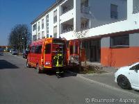 H0 - Vogelfund