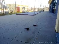 H0 - Vogelfund