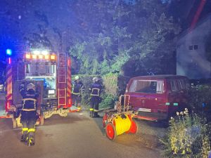 B2 - Feuer/Rauch Wald