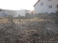 B2 - Flächenbrand