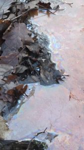 G1 - Gewässerverunreinigung