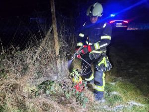 B1 - Feuer/Rauch Gartengrundstück